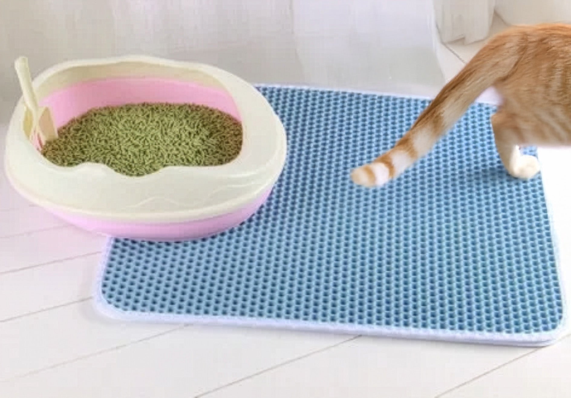 Double-Layer Waterproof Cat Litter Mat – Non-Slip, Washable Litter Trap Pad